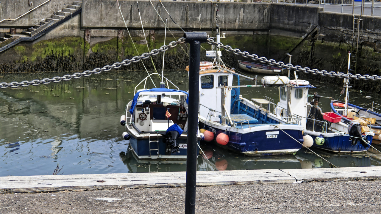 20260720-113131•••Amble•Northumbria•UK (ENG)